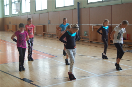 Obrázek v galerii